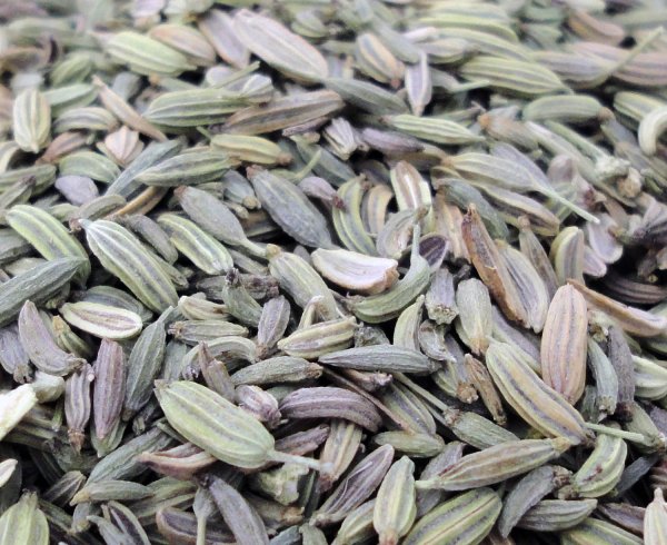 Stellen sie Ihren eigenen leckern Bio Kombucha Tee (Kombuchatee, Teepilz Getränk) mit Hilfe unseres Kombuchapilz und unseren leckeren Bio Fenchel Tee her. Oder einfach pur geniessen!