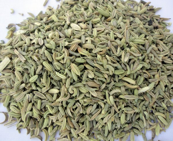 Stellen sie Ihren eigenen leckern Bio Kombucha Tee (Kombuchatee, Teepilz Getränk) mit Hilfe unseres Kombuchapilz und unseren leckeren Bio Fenchel Tee her. Oder einfach pur geniessen!