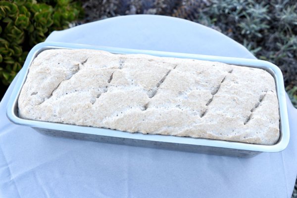 Wollen Sie Brot oder Kuchen ( Sauerteigbrot ) mit Kombucha, Milchkefir (Kefirknollen) oder Wasserkefir (Japankristalle) mit dieser Brotbackform backen? Hier Brotbackform aus Edelstahl kaufen