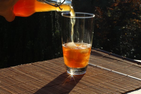 Wollen Sie leckeren Kombucha / Kombuchatee selber machen / herstellen? Hier Kombuchapilz Teepilz kaufen bestellen online kaufen   - Erfolgsgarantie - Anleitungen und Rezepte Gratis - sichere Bestellung -