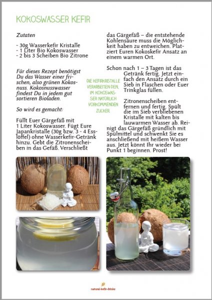 Möchten Sie gern leckere Wasserkefir Rezepte zum selber machen? Hier bekommen sie das Natural-Kefir-Drinks.de Rezepte E-Book mit den 5 besten Rezepten.