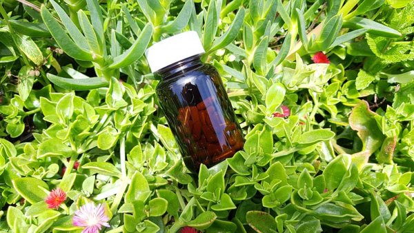 Wollen Sie mehr Eigenverantwortung für Ihren Darm und Ihre Ernährung übernehmen, wissen aber nicht wie?! Jetzt Premium Biotika online bestellen.