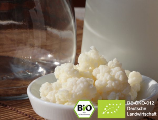 Make your own delicious organic milk kefir with the help of our real live kefir grains and benefit from the positive effect.