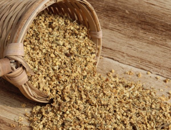 Would you like to make or brew your own kombucha tea with this delicious Elderflowers tea? Here you can order Elderberry Blossoms tea online safe and secure at the best price
