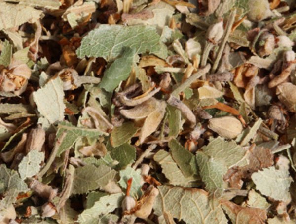 Would you like to make or brew your own kombucha tea with this delicious Lime Blossoms tea? Here you can order Lime Blossoms tea online safe and secure at the best price