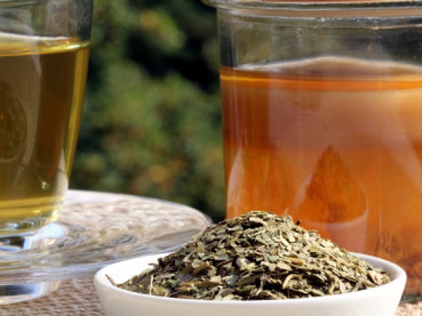 Mate Tee -