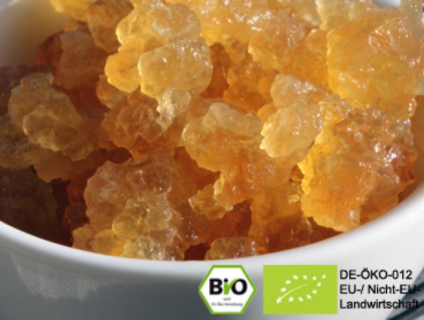 Wollen Sie leckere Bio Ginger Root Wasserkefir Limonade | Kefir Drink mit Hilfe von echten Ginger Root Kefirkristallen selbst herstellen und von der positiven Wirkung profitieren? Hier Ginger Root Plant online kaufen
