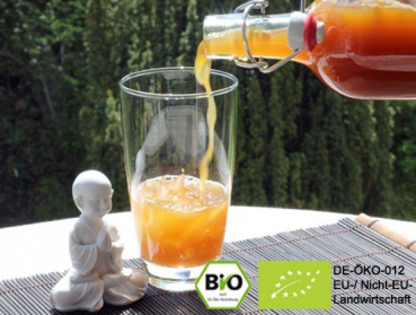 Wollen Sie leckere Bio Ginger Root Wasserkefir Limonade | Kefir Drink mit Hilfe von echten Ginger Root Kefirkristallen selbst herstellen und von der positiven Wirkung profitieren? Hier Ginger Root Plant online kaufen