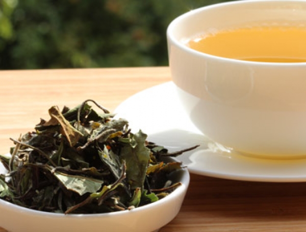 Pai Mu Tan - Ein edler Weißer Tee - Wollen Sie leckeren Kombucha Tee einfach selber herstellen und sicher bestellen? Hier finden Sie alles rund um den idealen Tee für Ihren Kombucha, Herstellanleitungen und leckere Rezepte Gratis, Komplettsets und Anfänge