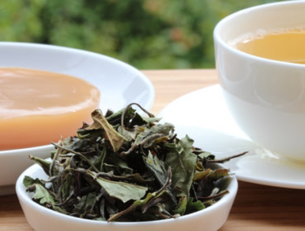 Pai Mu Tan - Ein edler Weißer Tee - Wollen Sie leckeren Kombucha Tee einfach selber herstellen und sicher bestellen? Hier finden Sie alles rund um den idealen Tee für Ihren Kombucha, Herstellanleitungen und leckere Rezepte Gratis, Komplettsets und Anfänge