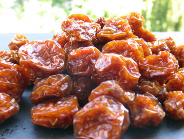 - Kopie - Kopie - Kopie - Kopie