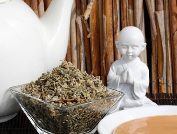 Salbeiblätter - echter Salbei für echten Genuss - Wollen Sie leckeren Kombucha Tee einfach selber herstellen und sicher bestellen? Hier finden Sie alles rund um den idealen Tee für Ihren Kombucha, Herstellanleitungen und leckere Rezepte Gratis, Komplettse