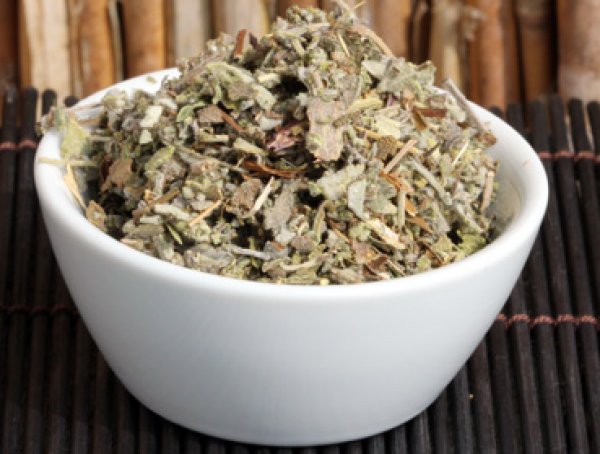 Salbeiblätter - echter Salbei für echten Genuss - Wollen Sie leckeren Kombucha Tee einfach selber herstellen und sicher bestellen? Hier finden Sie alles rund um den idealen Tee für Ihren Kombucha, Herstellanleitungen und leckere Rezepte Gratis, Komplettse