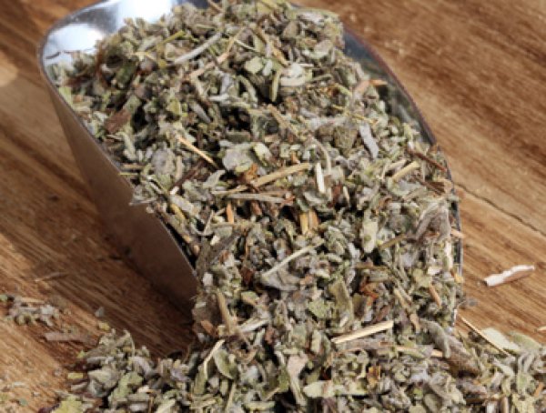 Salbeiblätter - echter Salbei für echten Genuss - Wollen Sie leckeren Kombucha Tee einfach selber herstellen und sicher bestellen? Hier finden Sie alles rund um den idealen Tee für Ihren Kombucha, Herstellanleitungen und leckere Rezepte Gratis, Komplettse