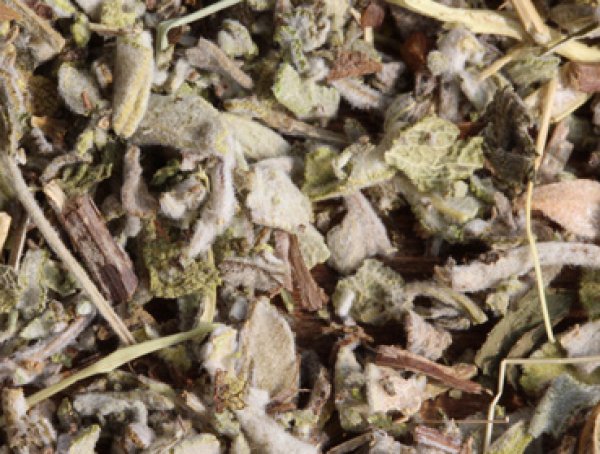 Salbeiblätter - echter Salbei für echten Genuss - Wollen Sie leckeren Kombucha Tee einfach selber herstellen und sicher bestellen? Hier finden Sie alles rund um den idealen Tee für Ihren Kombucha, Herstellanleitungen und leckere Rezepte Gratis, Komplettse