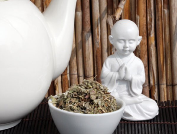 Salbeiblätter - echter Salbei für echten Genuss - Wollen Sie leckeren Kombucha Tee einfach selber herstellen und sicher bestellen? Hier finden Sie alles rund um den idealen Tee für Ihren Kombucha, Herstellanleitungen und leckere Rezepte Gratis, Komplettse